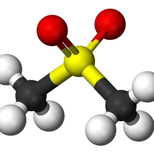 MSM (Metilsulfonilmetano)